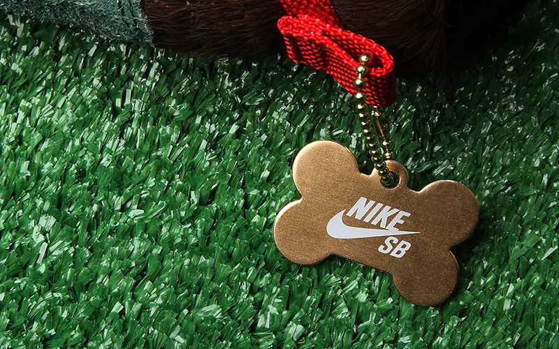 Nike SB Dunk Hi "Walk the dog"