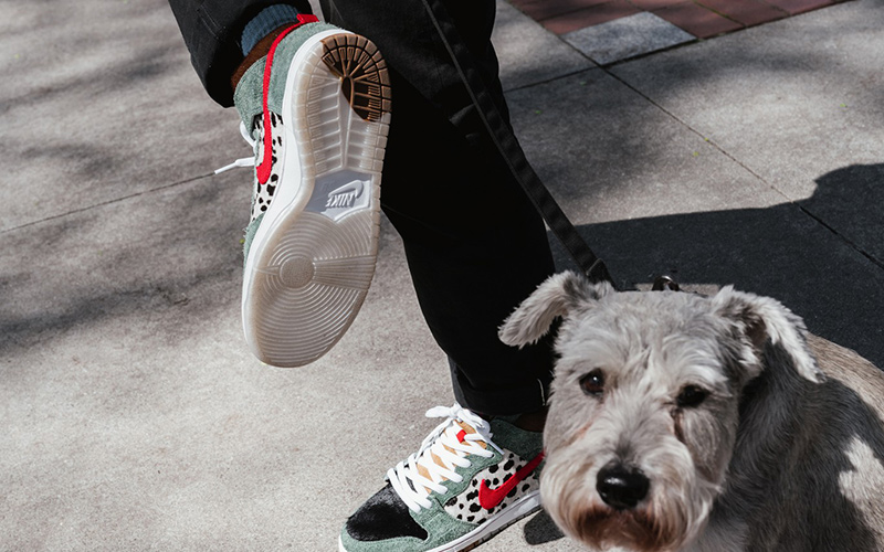 Nike SB Dunk Hi "Walk the dog"